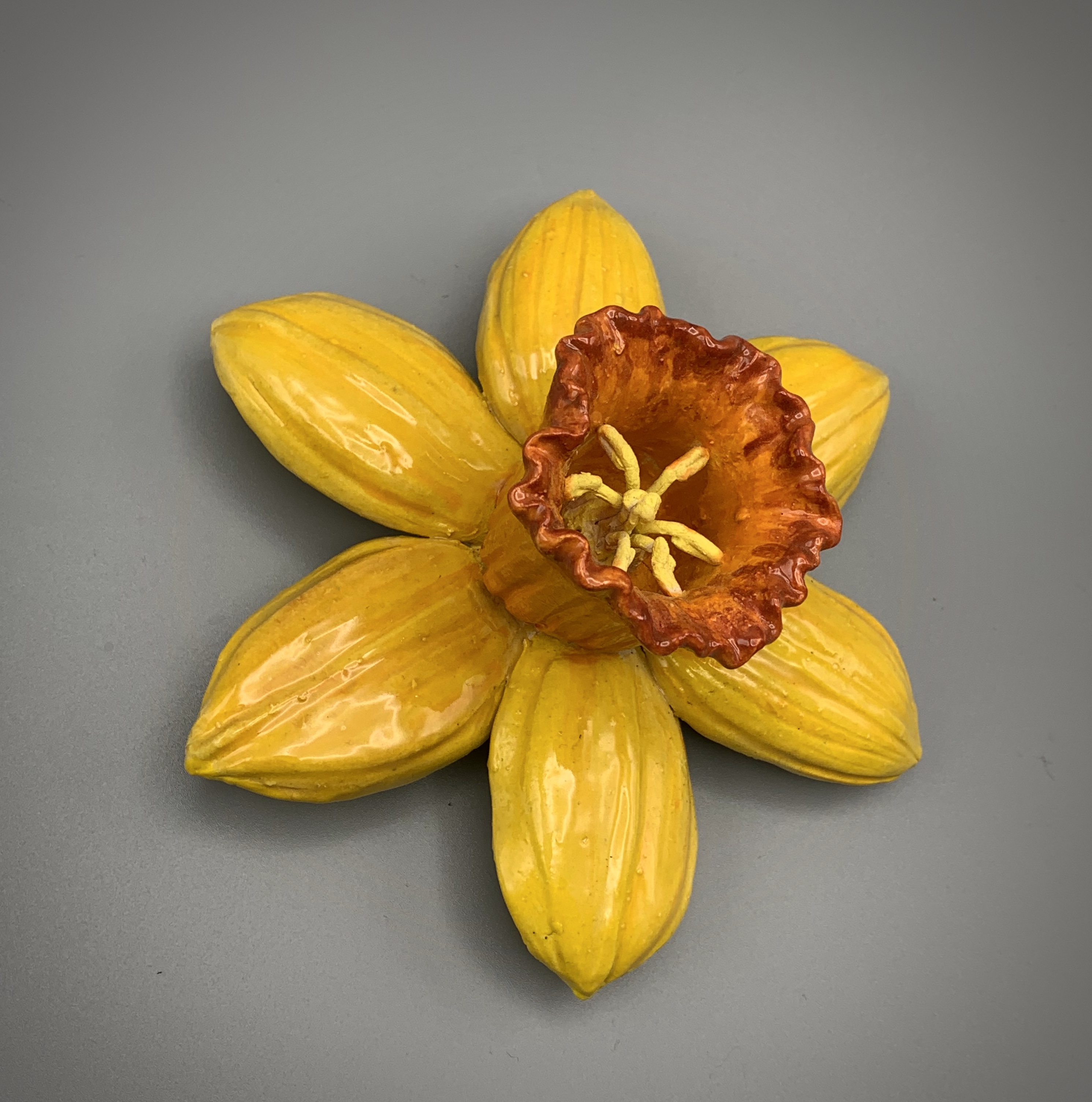 daffodil