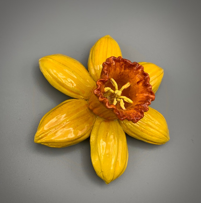 daffodil